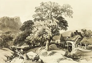Ash and Oak, from The Park and the Forest, 1841. Creator: James Duffield Harding
