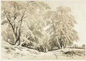 The Park And The Forest Collection: Ash, from The Park and the Forest, 1841. Creator: James Duffield Harding