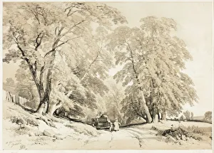 Jd Harding Prints: Ash, from The Park and the Forest, 1841. Creator: James Duffield Harding
