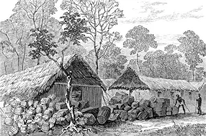 Stores Prints: The Ashantee War: Barracoe - station on the road to Coomassie