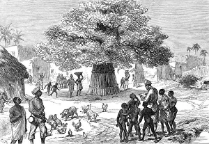 Africans Prints: The Ashantee War: fetish tree in village near Cape Coast Castle