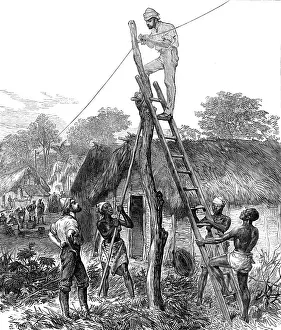Africans Prints: The Ashantee War: fixing telegraph wires