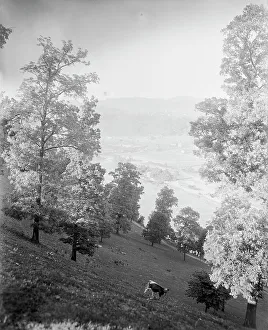 The Carolinas Prints: Asheville, N.C. between 1895 and 1910. Creator: Unknown