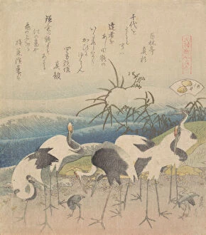 Ashi Clam, from the series 'Genroku Kasen Kai-awase', 1821. Creator: Hokusai
