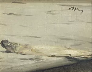 Asparagus Gallery: Asparagus, 1880. Artist: Manet, Edouard (1832-1883)