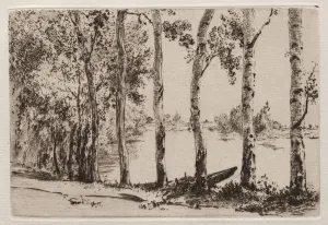 1833 1914 Prints: Aspens on the Bank of the Seine. Creator: Felix Bracquemond (French, 1833-1914)