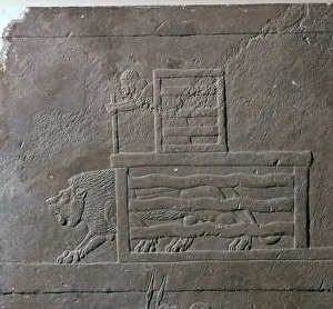 Assyrian relief of a lion being released from a cage for a hunt, 7th century Assyrian relief of a lion being released from a cage for a hunt, 7th century