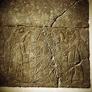 Comic Strip Gallery: Assyrian relief of a Sacred tree flanked by two winged genies