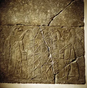 Assyrian relief of a Sacred tree flanked by two winged genies Assyrian relief of a Sacred tree flanked by two winged genies