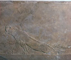 Assyrian relief of a wounded lioness from Ashurbanipal, 7th century Assyrian relief of a wounded lioness from Ashurbanipal, 7th century