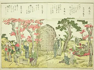 Double Page Prints: Asuka Hill (Asukayama), from vol