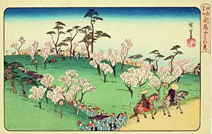 Asukayama Hanami (Cherry Blossom Viewing at Asukayama), 1950. Creator: Ando Hiroshige