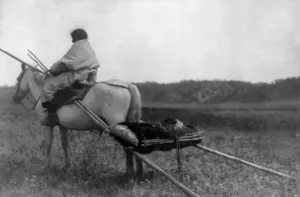 Algonquin Prints: Atsina Indian on horse pulling travois, c1908. Creator: Edward Sheriff Curtis