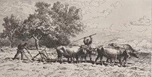 Ploughing Gallery: Attelage de Boeufs, 1868. Creator: Charles Emile Jacque