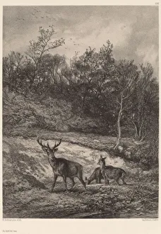 Au bord de l eau. Creator: Karl Bodmer