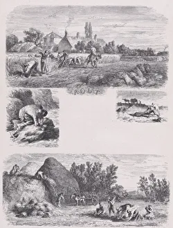 August Collection: August from Album of Rustic Subjects, 1859. Creator: Jacques-Adrien Lavieille