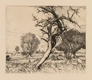 Auguste Lepere: Le pommier mort (Picardie), 1913. Creator: Auguste Louis Lepere (French