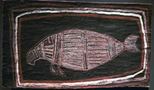 Australia Prints: Australian Aboriginal bark-painting of a Dugong