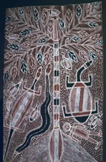 Snake Collection: Australian Aborigine bark painting