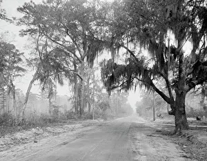 Roads Prints: Auto course, Savannah, Ga. between 1900 and 1920. Creator: Unknown