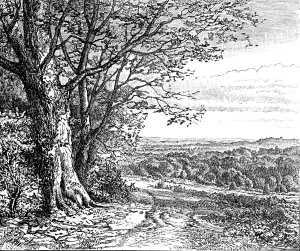 New Forest Prints: Autumn from Bramble Hill: from 'Autumnal Leaves' (Sketches in the New Forest)