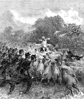 Mock Battle Prints: The Autumn Campaign: advance of the Connaught Rangers, 1872. Creator: Unknown