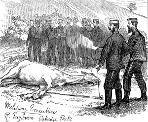 Executing Prints: The Autumn Campaign on Cannock Chase, 1873. Creator: Unknown