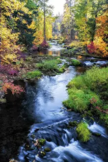 Pacific North West Prints: Autumn Colors. Creator: Joshua Johnston
