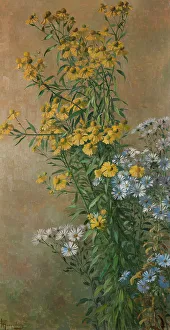 Autumn Flowers, Helenium and New York Aster, 1910. Creator: Gunnar Wennerberg