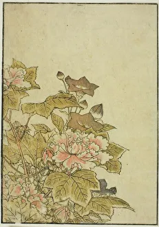 Peony Prints: Autumn Flowers: Peonies and Bellflowers