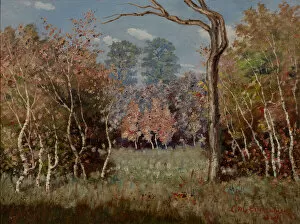 Tree Trunk Gallery: Autumn Landscape, 1889. Creator: Louis Michel Eilshemius