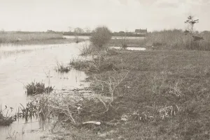 Marsh Prints: An Autumn Morning, 1886. Creator: Peter Henry Emerson