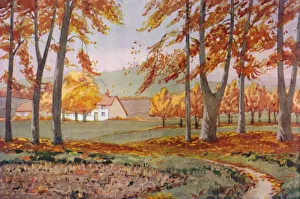 Change Prints: Autumn - The Physical, Chemical and Biological Changes Wrought By The Sun During The Year