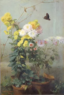 Flower Pots Gallery: Autumn Sunshine, 1880. Creator: George Cochran Lambdin