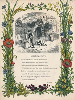 Autumnal Gallery: Autumnal Fruit by Keats, c1900