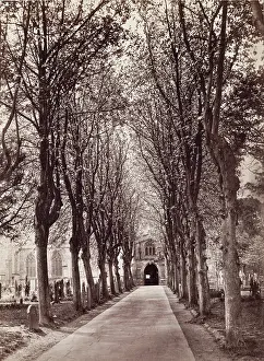 Cemetery Prints: Avenue to the Church, Stratford on Avon, between 1870 and 1880. Creator: Francis Bedford