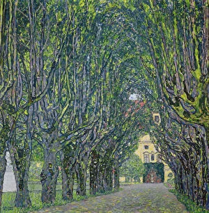Images Dated 30th October 2013: Avenue in the Park of Kammer Castle, 1912. Artist: Klimt, Gustav (1862-1918)
