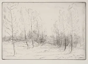 Avenue of Poplars. Creator: Alphonse Legros (French, 1837-1911)