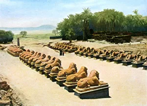 Temple Of Amun Prints: Avenue of ram-headed sphinxes, temple of Amun-Re, Karnak, Luxor, Egypt, 20th century