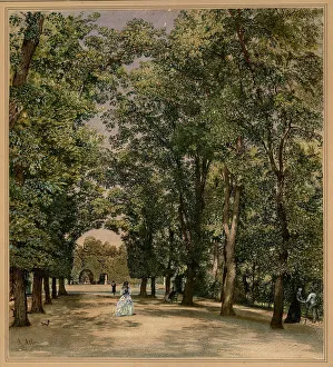 Avenue in the Schonbrunn palace park, ca 1871-1874