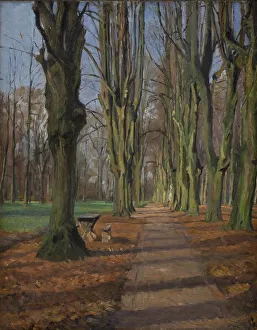 Gottschalk Albert Alfred Prints: An Avenue in Sondermarken. Frederiksberg, 1889. Creator: Albert Gottschalk