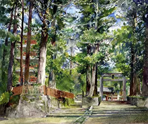 Noon Prints: Avenue to the Temple of Iyeyasa, Nikko. Mid-day Sun. 1886. Creator: John La Farge