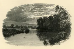 Worcestershire Prints: On the Avon. Strensham Reach, c1890. Creator: Unknown
