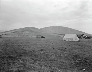 Awaiting the opening of orange picking season, near Porterville, California, 1936. Creator: Dorothea Lange