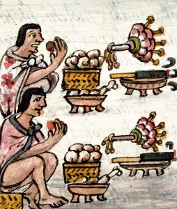 Aztec cuisine. From Historia General de las Cosas de la Nueva Espana by Bernardino de Aztec cuisine. From Historia General de las Cosas de la Nueva Espana by Bernardino de