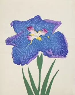 Azumabotan, No. 89, 1890, (colour woodblock print)