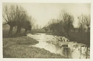 Edition 109 250 Prints: A Backwater on the Lea, 1880s. Creator: Peter Henry Emerson