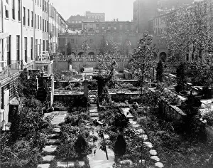 Rowhouse Prints: Backyard gardens in New York City, 1920. Creator: Frances Benjamin Johnston