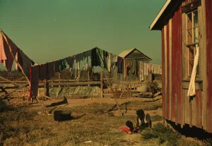 Backyard Gallery: Backyard of Negro tenants home, Marcella Plantation, Mileston, Miss. Delta, 1939