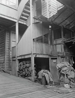 Sacks Prints: Backyard, North Beach District (Italians)